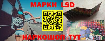 сатива Прокопьевск