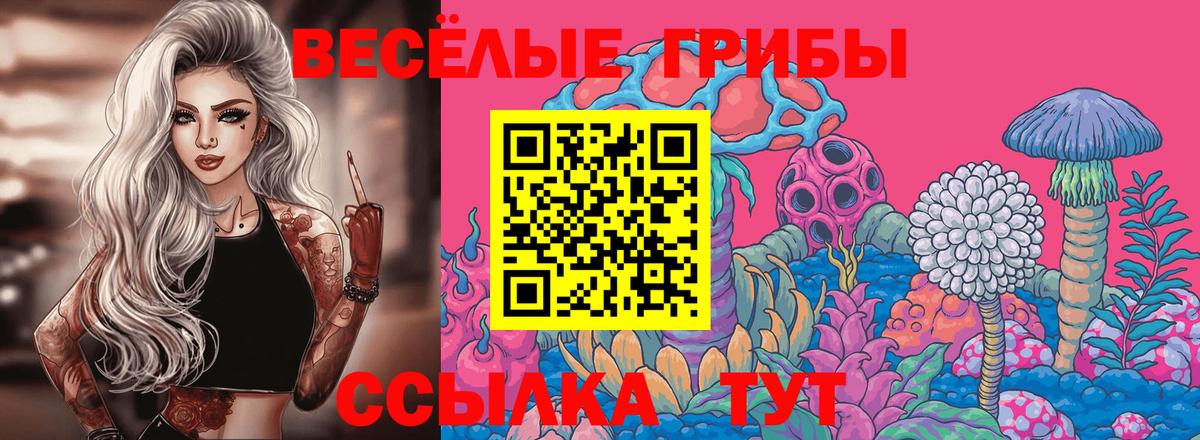Богданович  Псилоцибиновые грибы Magic Shrooms  Вход с VPN 